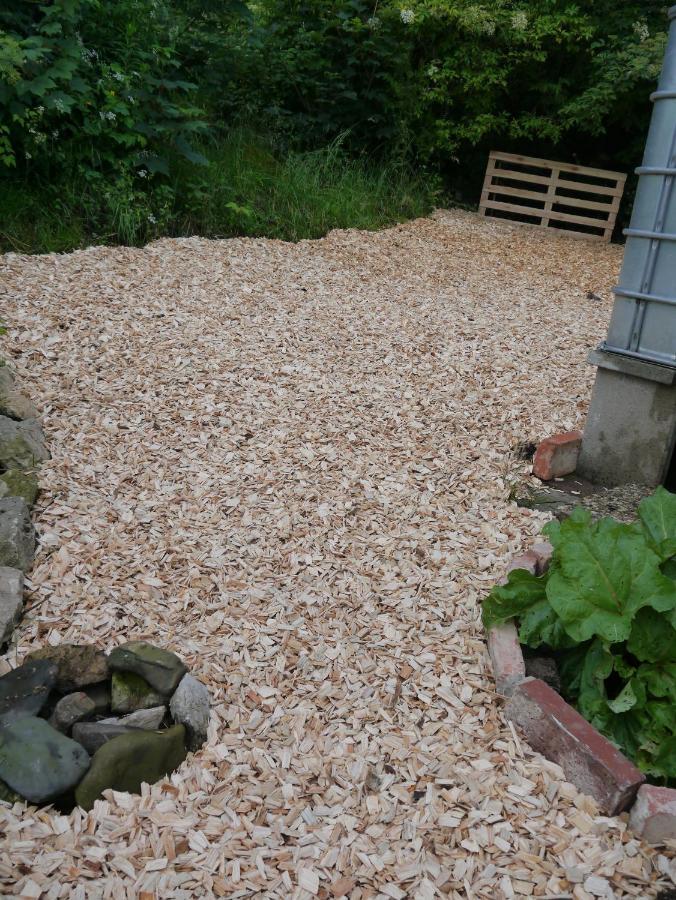 Elfenhaeuschen Mit 3 Dtv Sternen Ausgezeichnet Villa Bad Harzburg Dış mekan fotoğraf