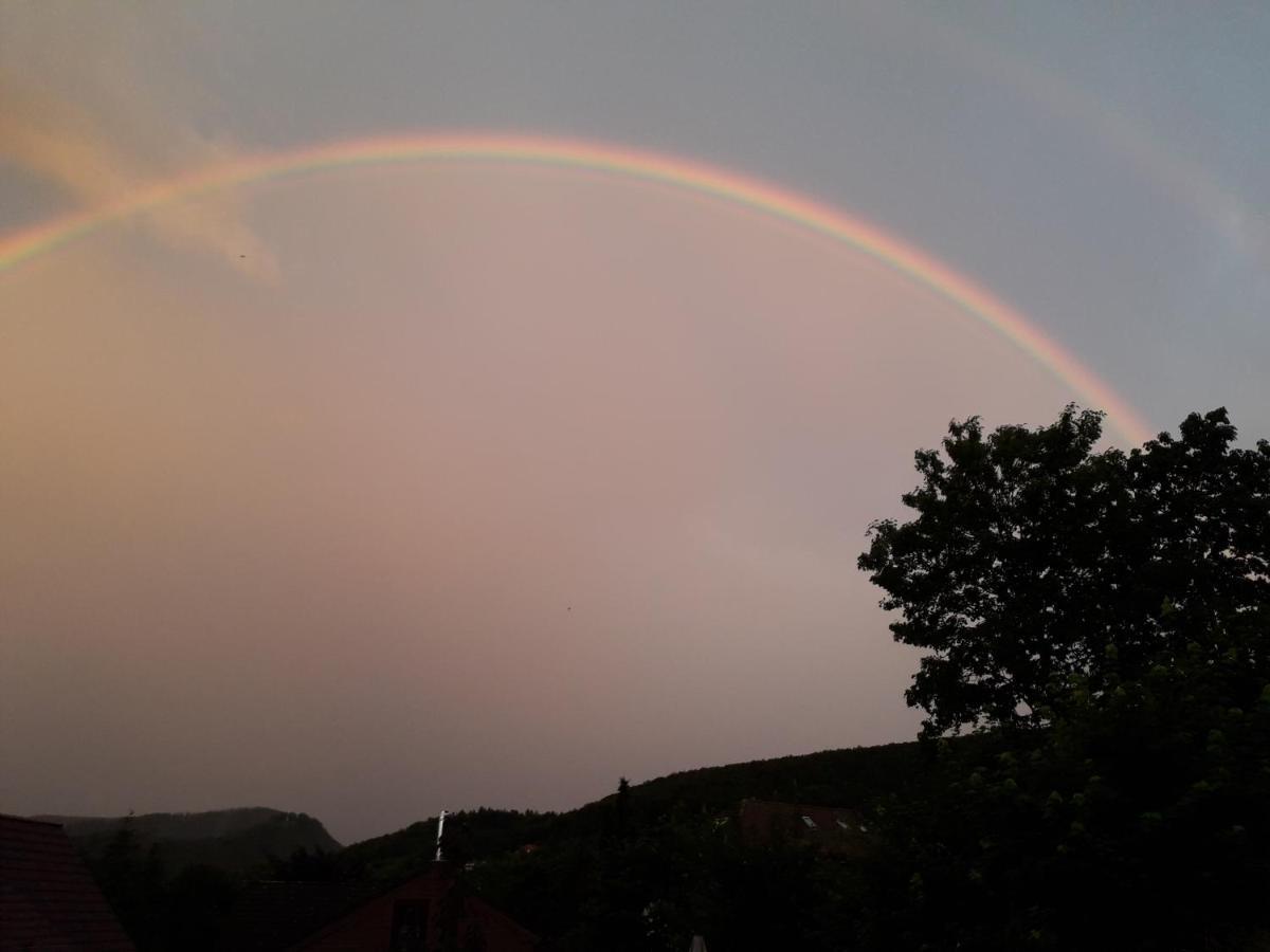 Elfenhaeuschen Mit 3 Dtv Sternen Ausgezeichnet Villa Bad Harzburg Dış mekan fotoğraf