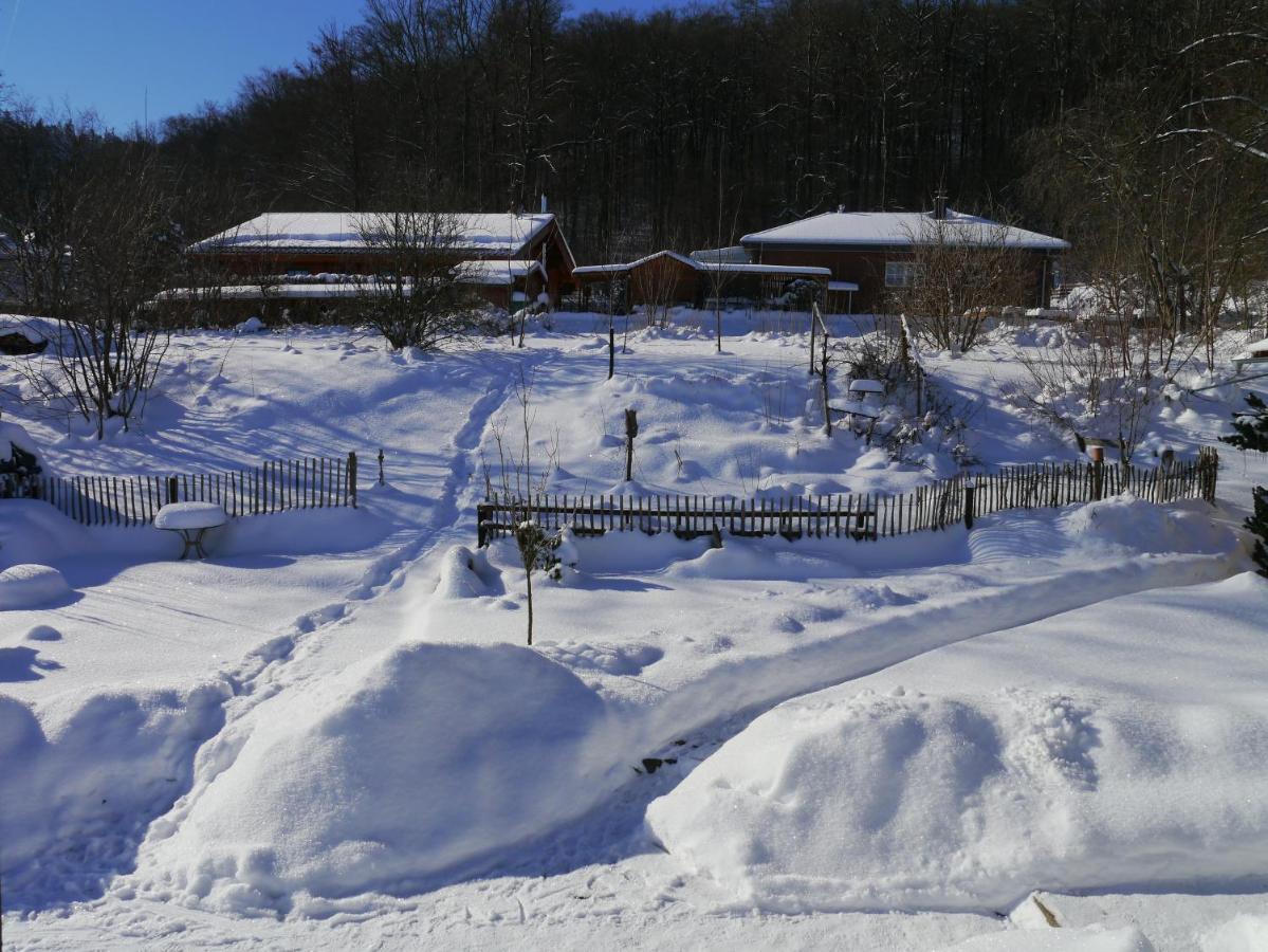 Elfenhaeuschen Mit 3 Dtv Sternen Ausgezeichnet Villa Bad Harzburg Dış mekan fotoğraf