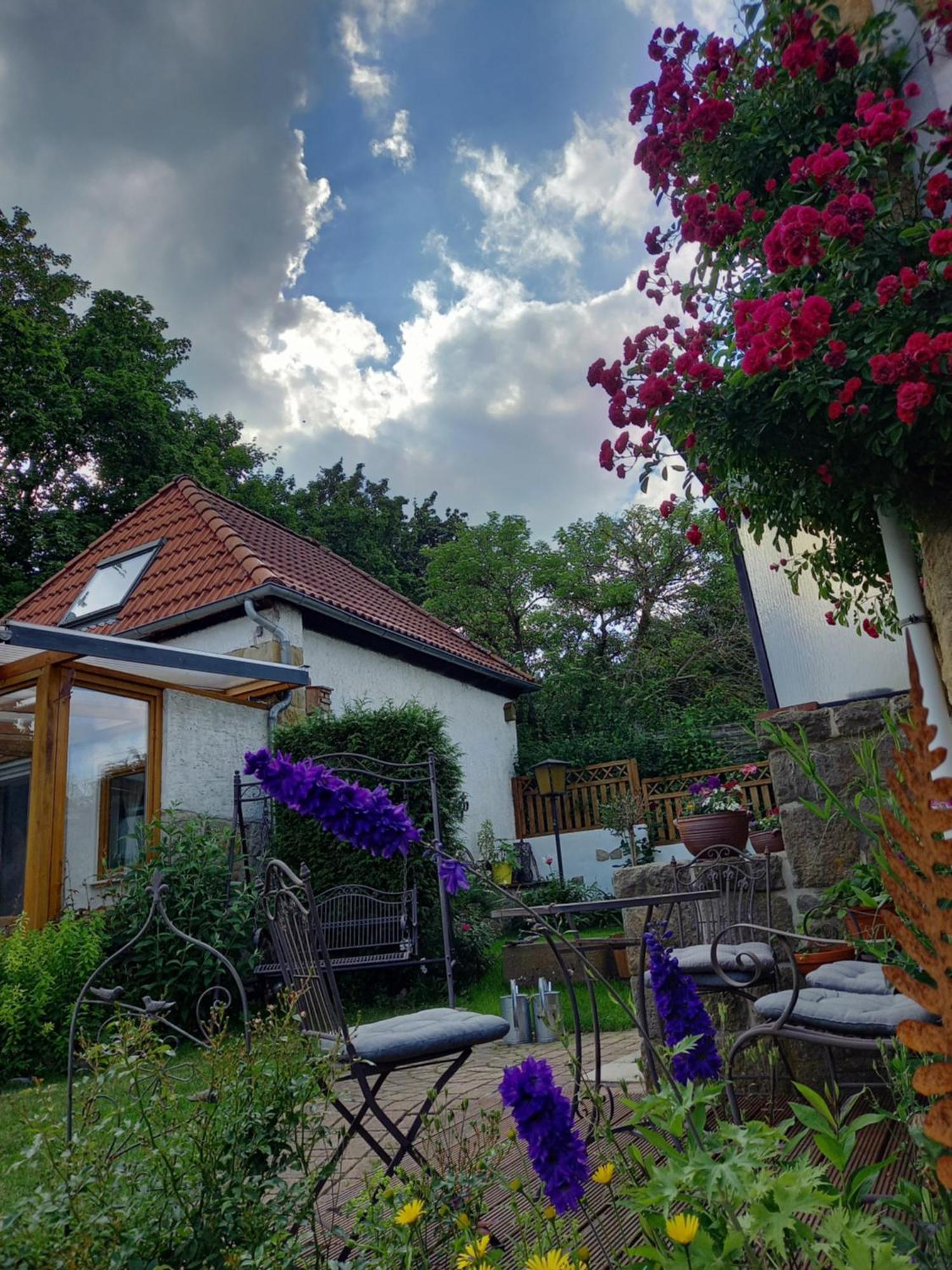 Elfenhaeuschen Mit 3 Dtv Sternen Ausgezeichnet Villa Bad Harzburg Dış mekan fotoğraf