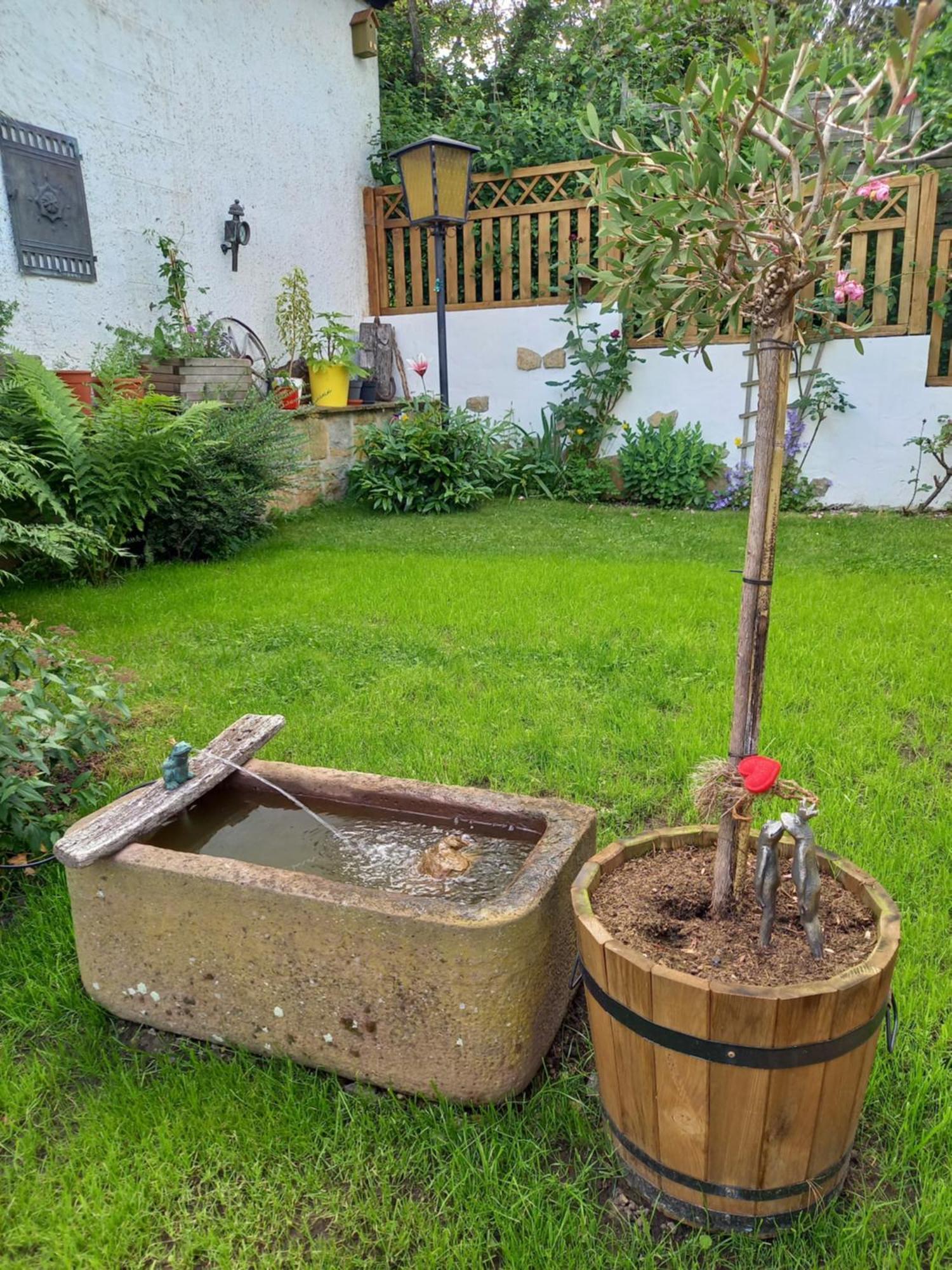 Elfenhaeuschen Mit 3 Dtv Sternen Ausgezeichnet Villa Bad Harzburg Dış mekan fotoğraf