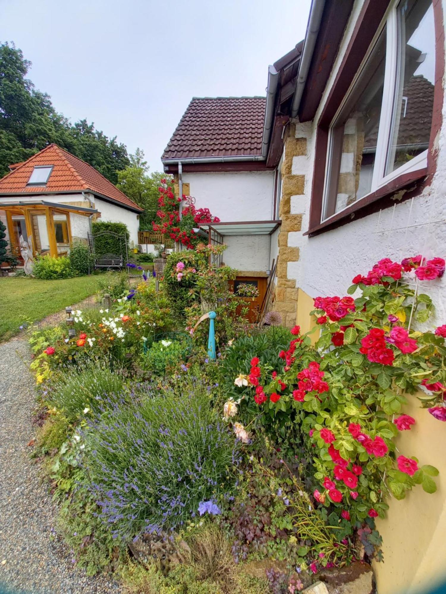 Elfenhaeuschen Mit 3 Dtv Sternen Ausgezeichnet Villa Bad Harzburg Dış mekan fotoğraf
