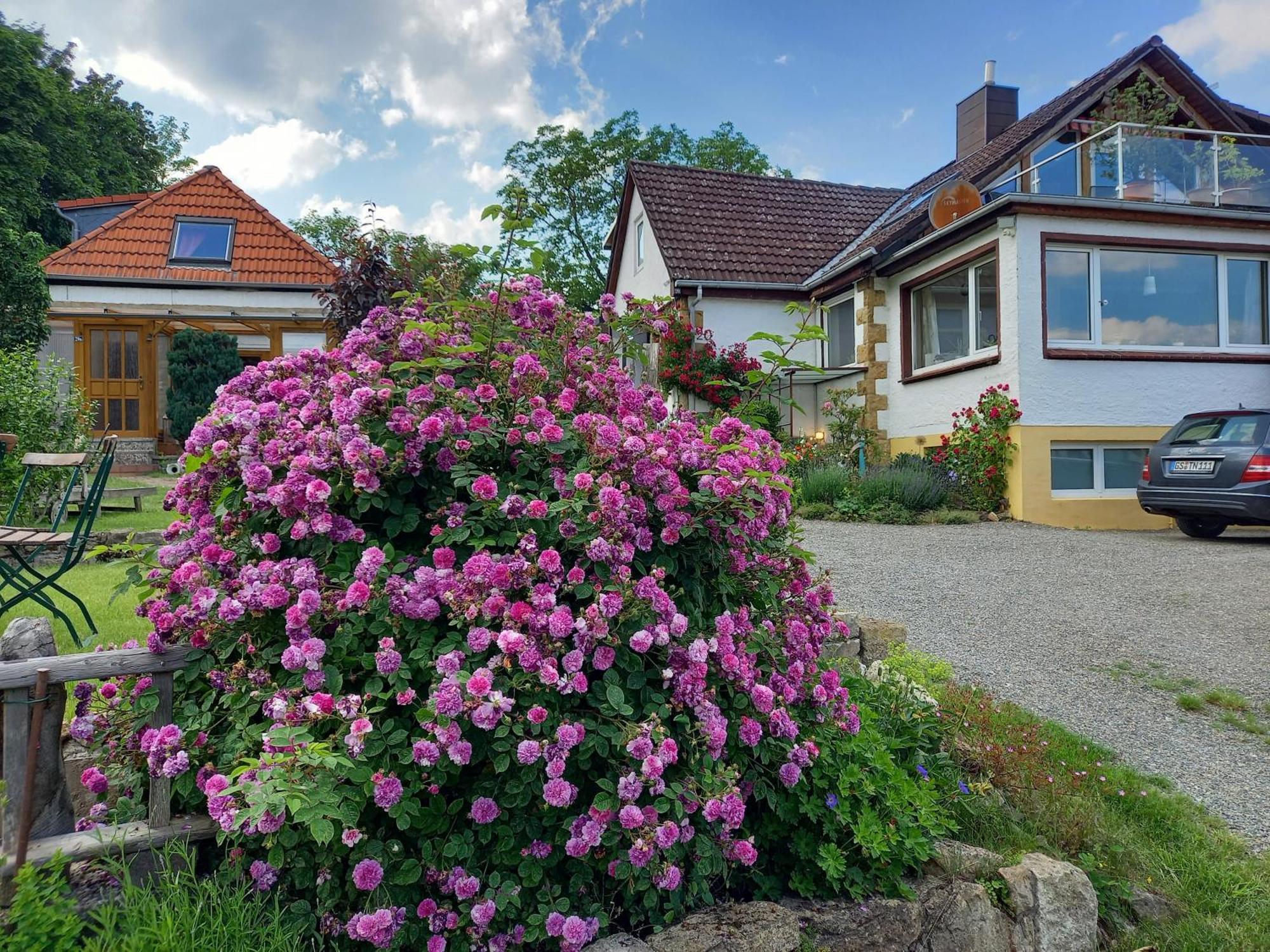 Elfenhaeuschen Mit 3 Dtv Sternen Ausgezeichnet Villa Bad Harzburg Dış mekan fotoğraf